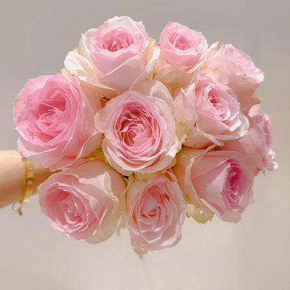 Pink Snow Netherlands Florist Shrub Rose