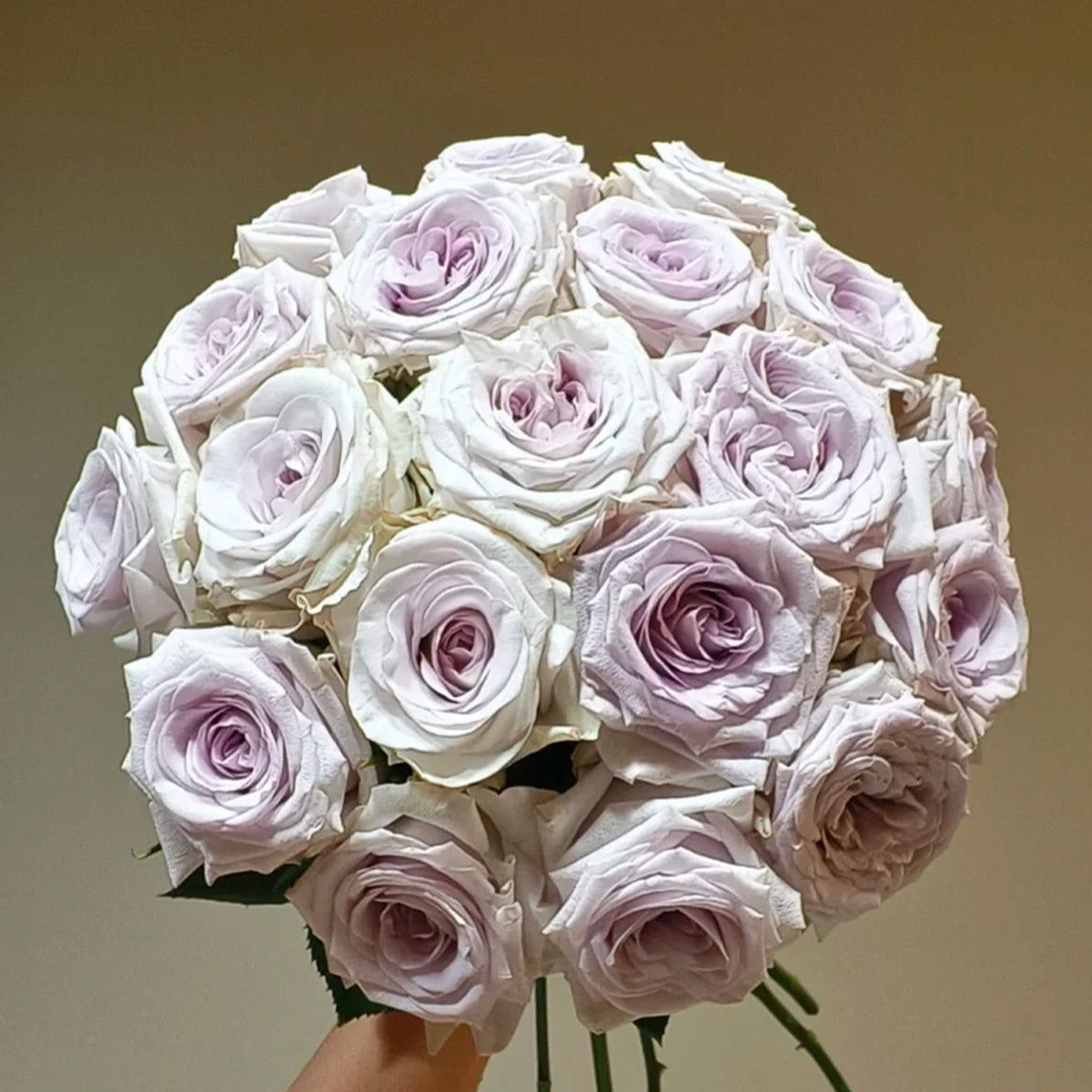 Purple O&