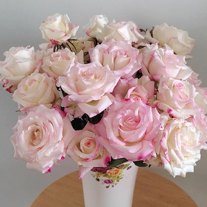 Rainbow Dress Florist Shrub Rose