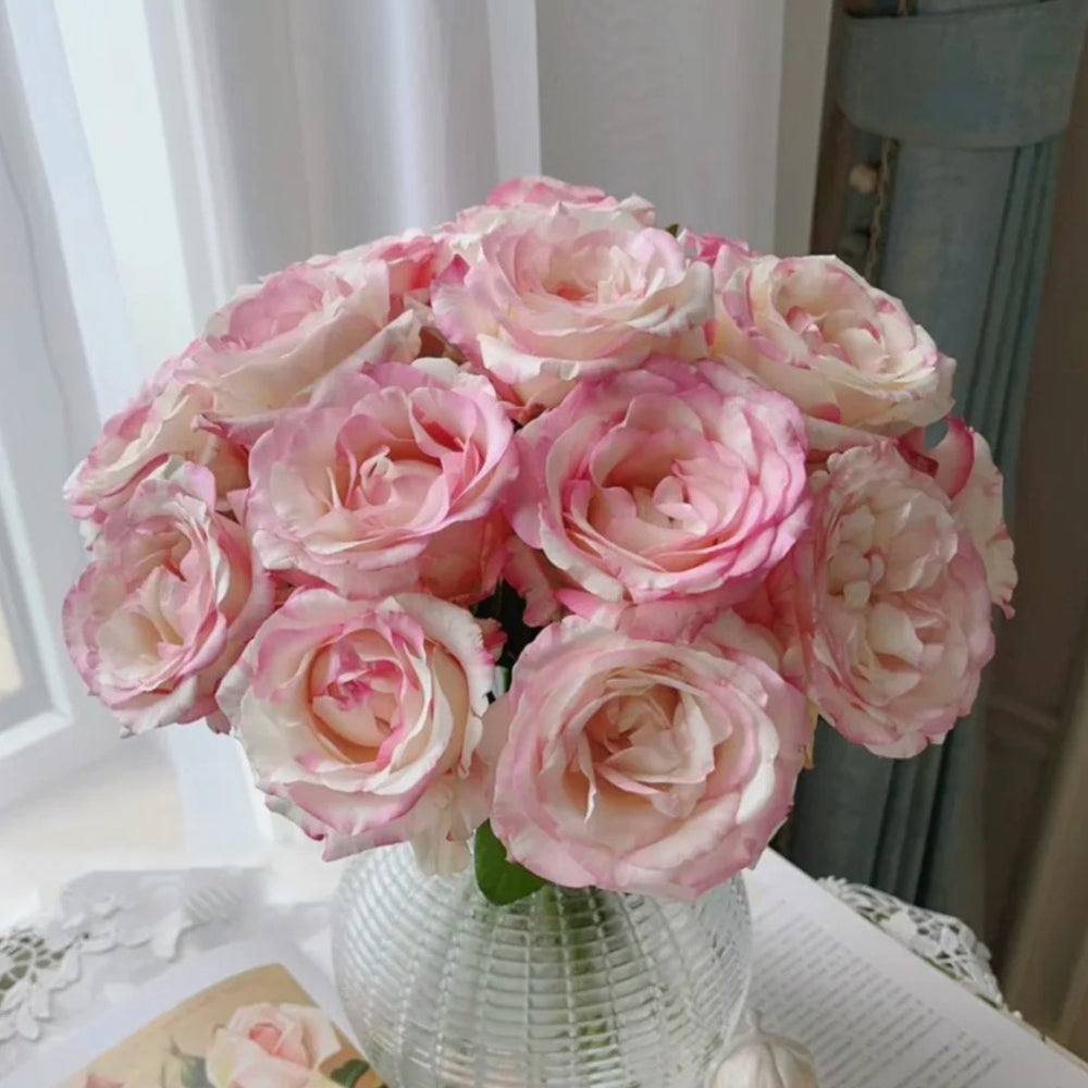 Rainbow Dress Florist Shrub Rose