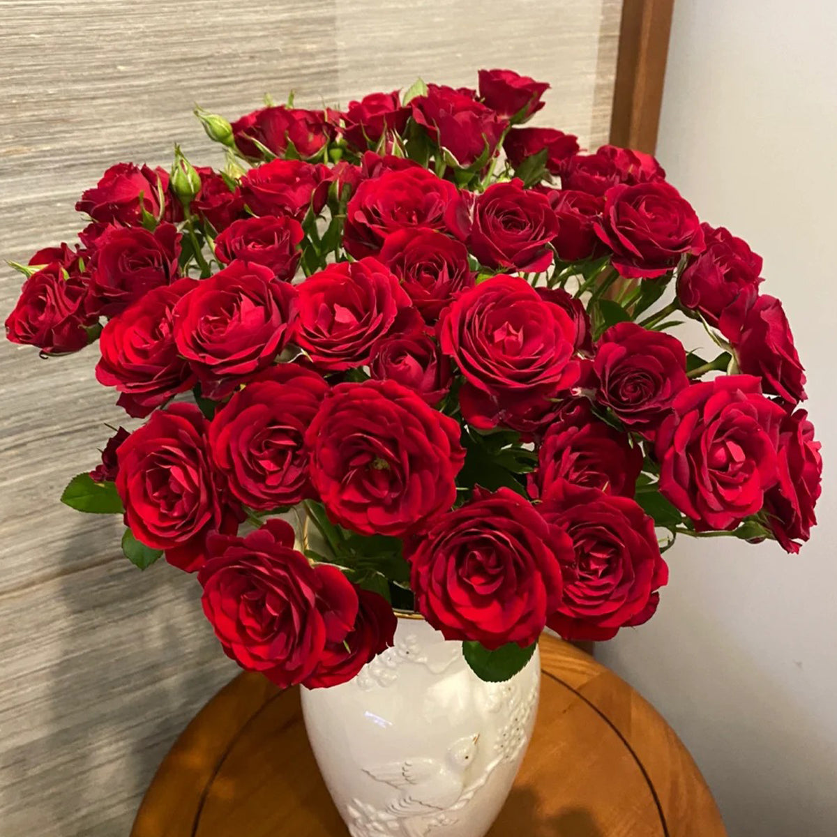 Red Velvet German Florist Hybrid Tea Rose Bush For Sale – Highgarden Roses