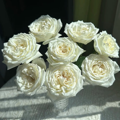 Saint John Paul Florist Shrub Rose