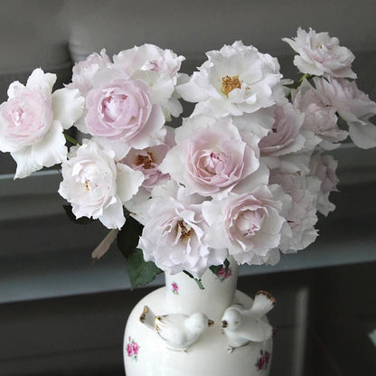Saphiret Japanese Florist Shrub Rose