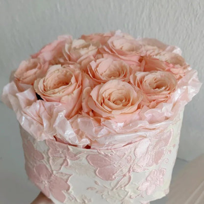 Shimmer German Florist Shrub Rose