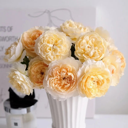Shreuk Japanese Florist Shrub Rose