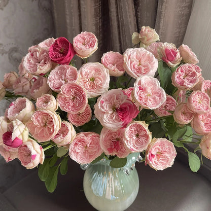 Speckled Opal Gem Netherlands Florist Shrub Rose