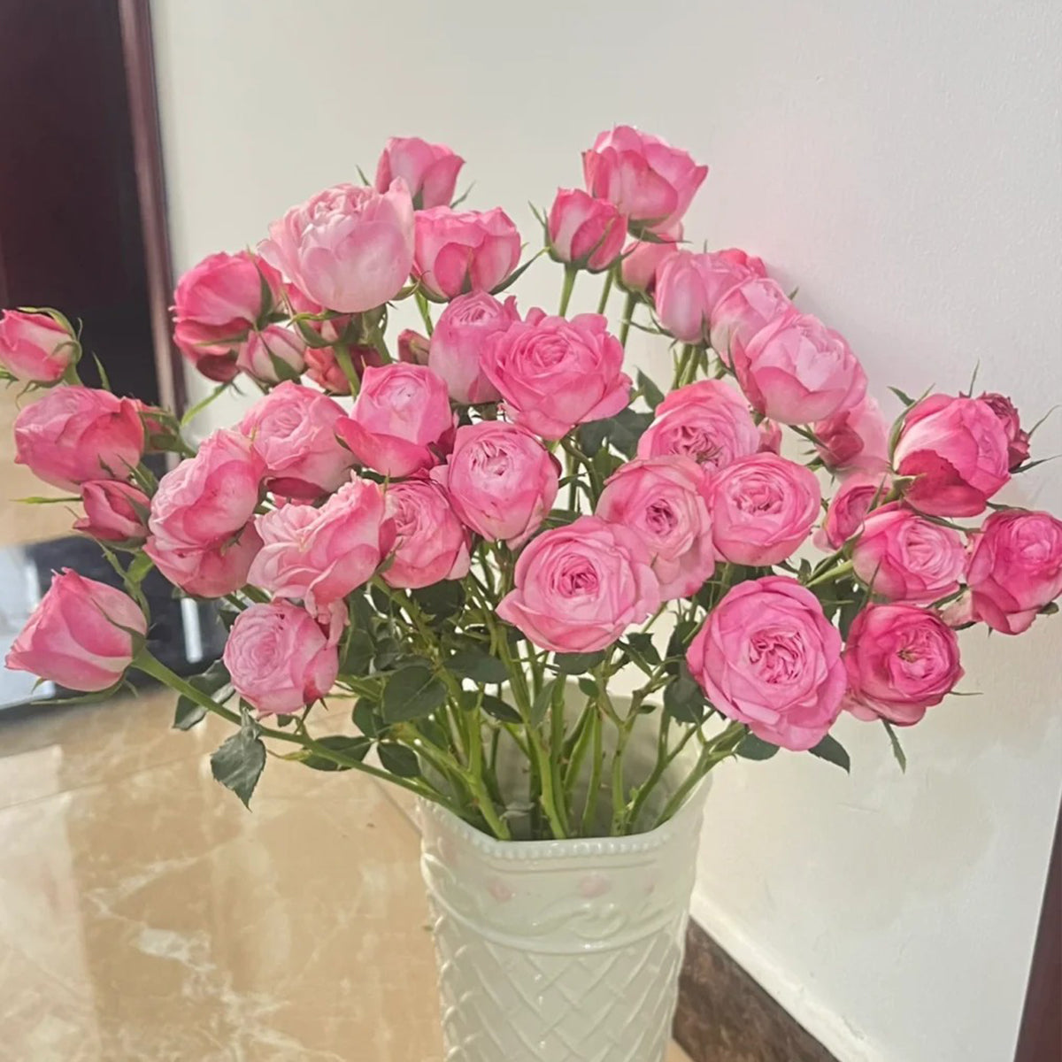 Strawberry Cake Japanese Florist Shrub Rose Bush For Sale