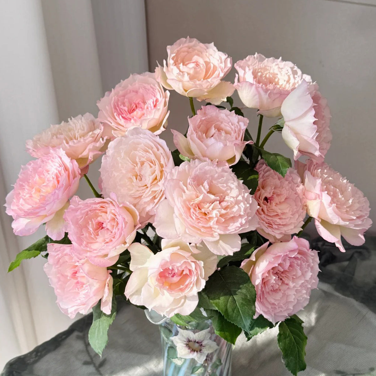 Strawberry Cloud Chinese Florist Shrub Rose