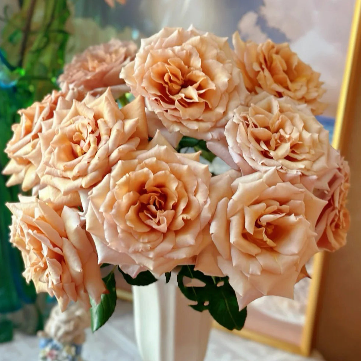 Tresor Japanese Florist Shrub Rose