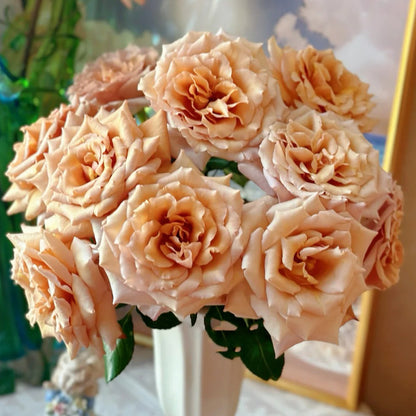 Tresor Japanese Florist Shrub Rose