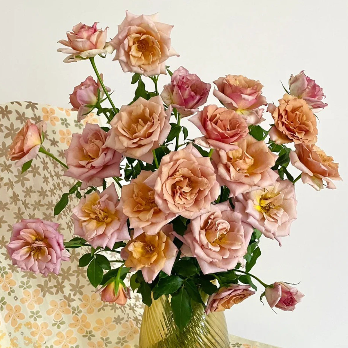 Tresor Japanese Florist Shrub Rose