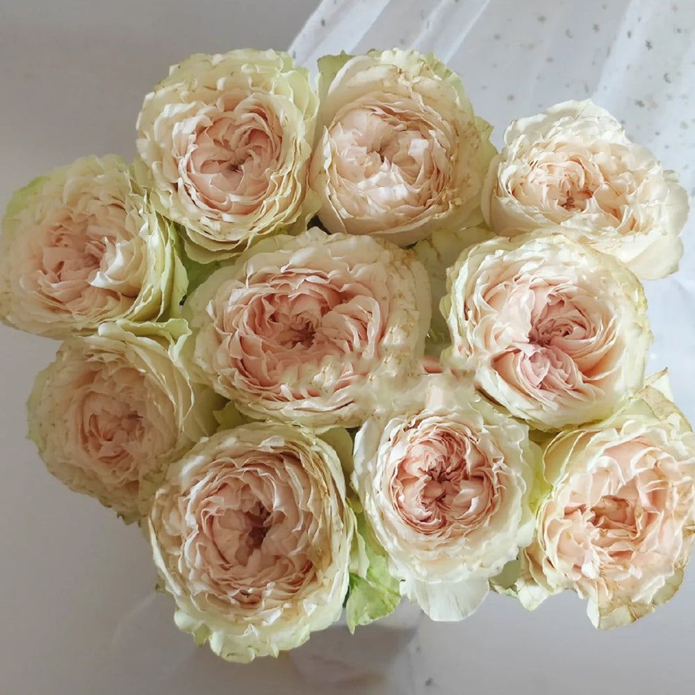 Victorian Wedding Netherlands Florist Shrub Rose