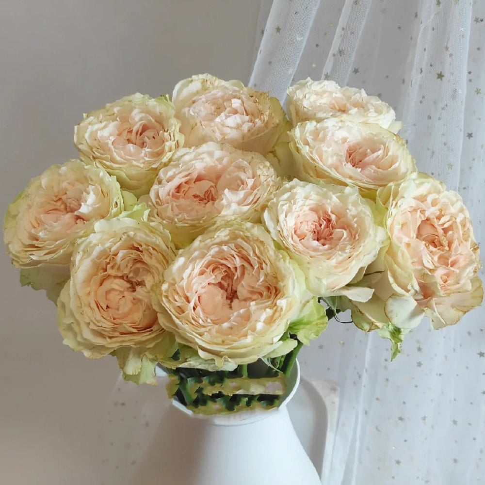 Victorian Wedding Netherlands Florist Shrub Rose