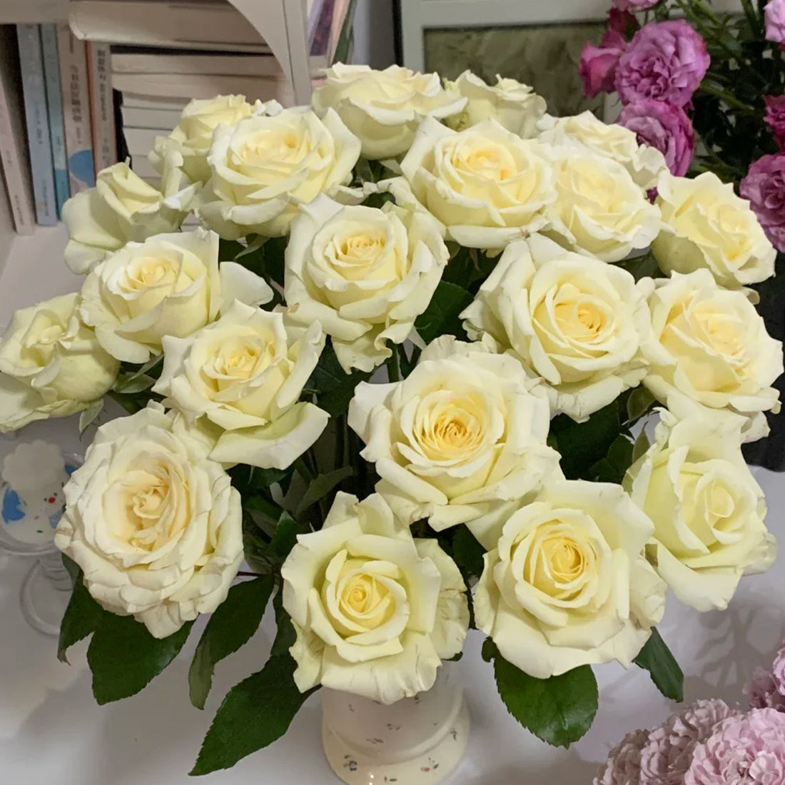 Vitality Dutch Florist Shrub Rose