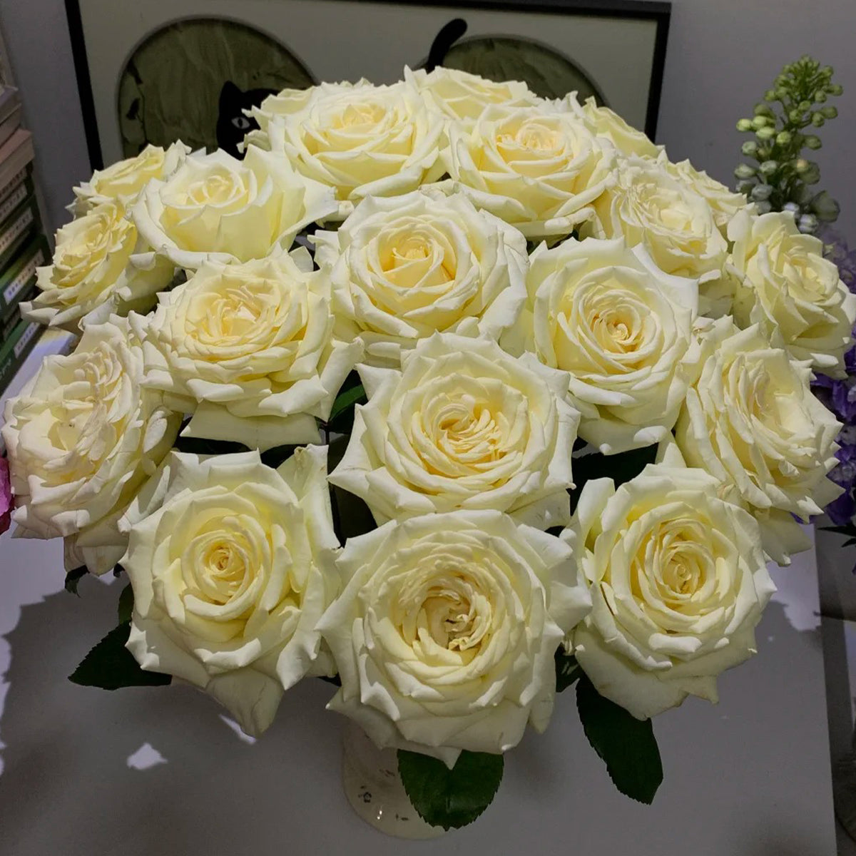 Vitality Dutch Florist Shrub Rose
