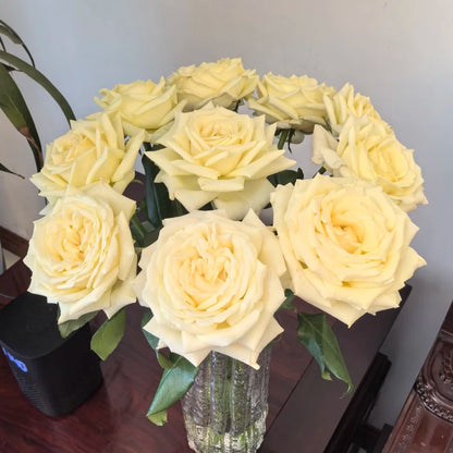 Vitality Dutch Florist Shrub Rose