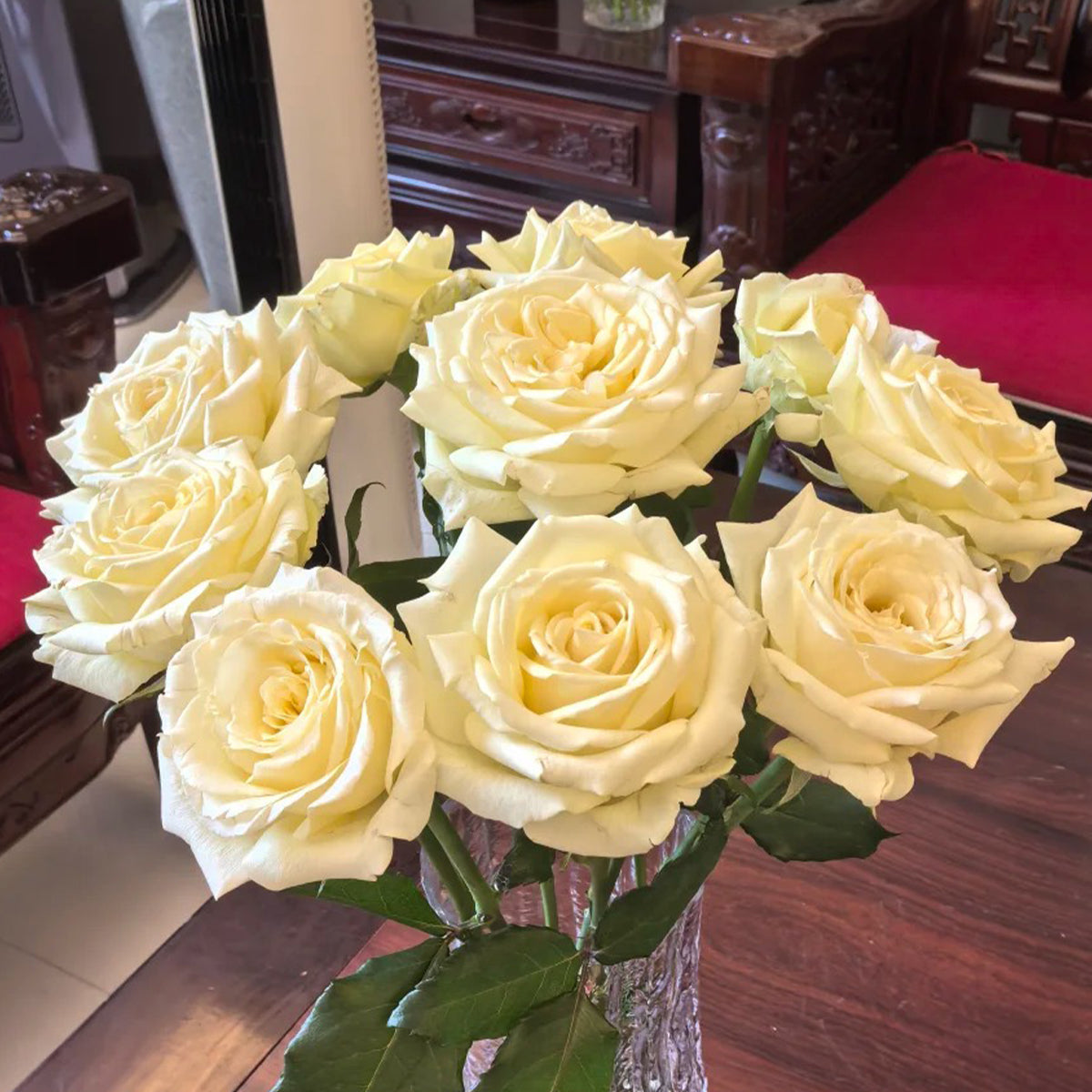 Vitality Dutch Florist Shrub Rose