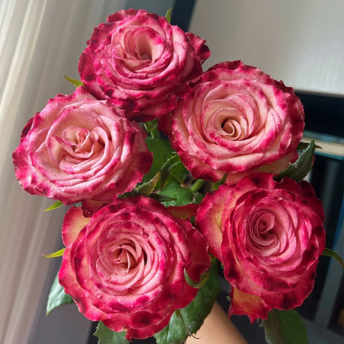 Watercolor Florist Shrub Rose