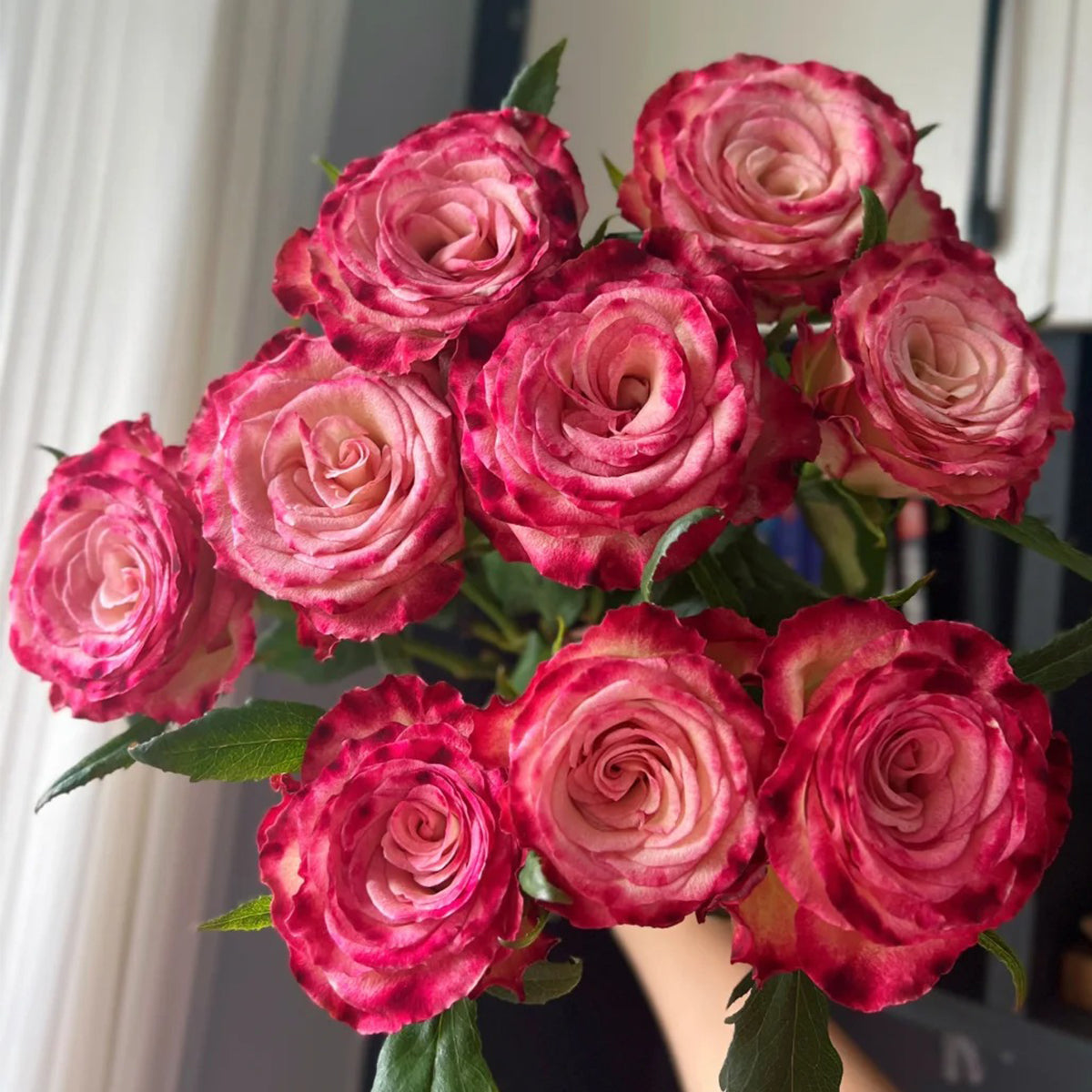 Watercolor Florist Shrub Rose