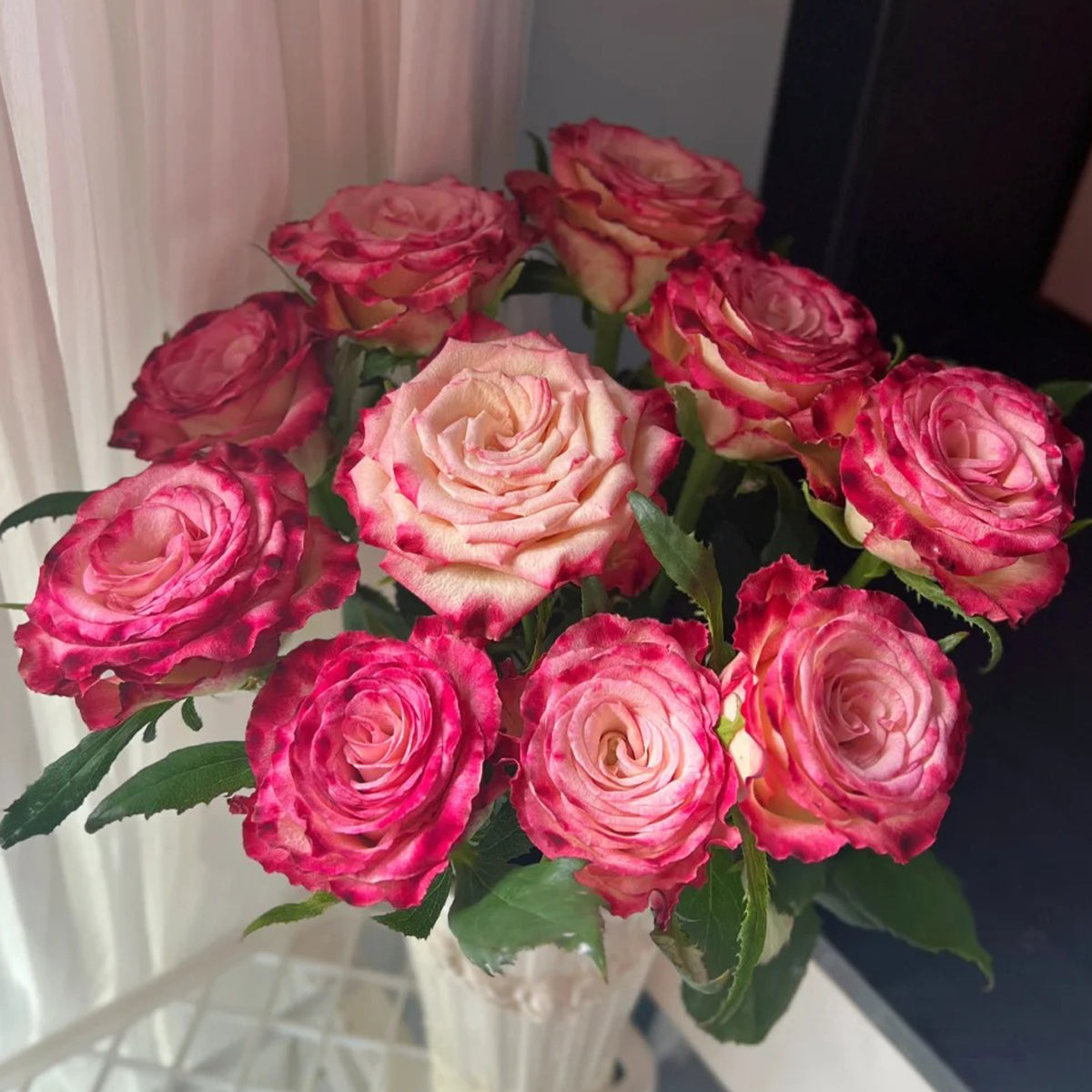 Watercolor Florist Shrub Rose