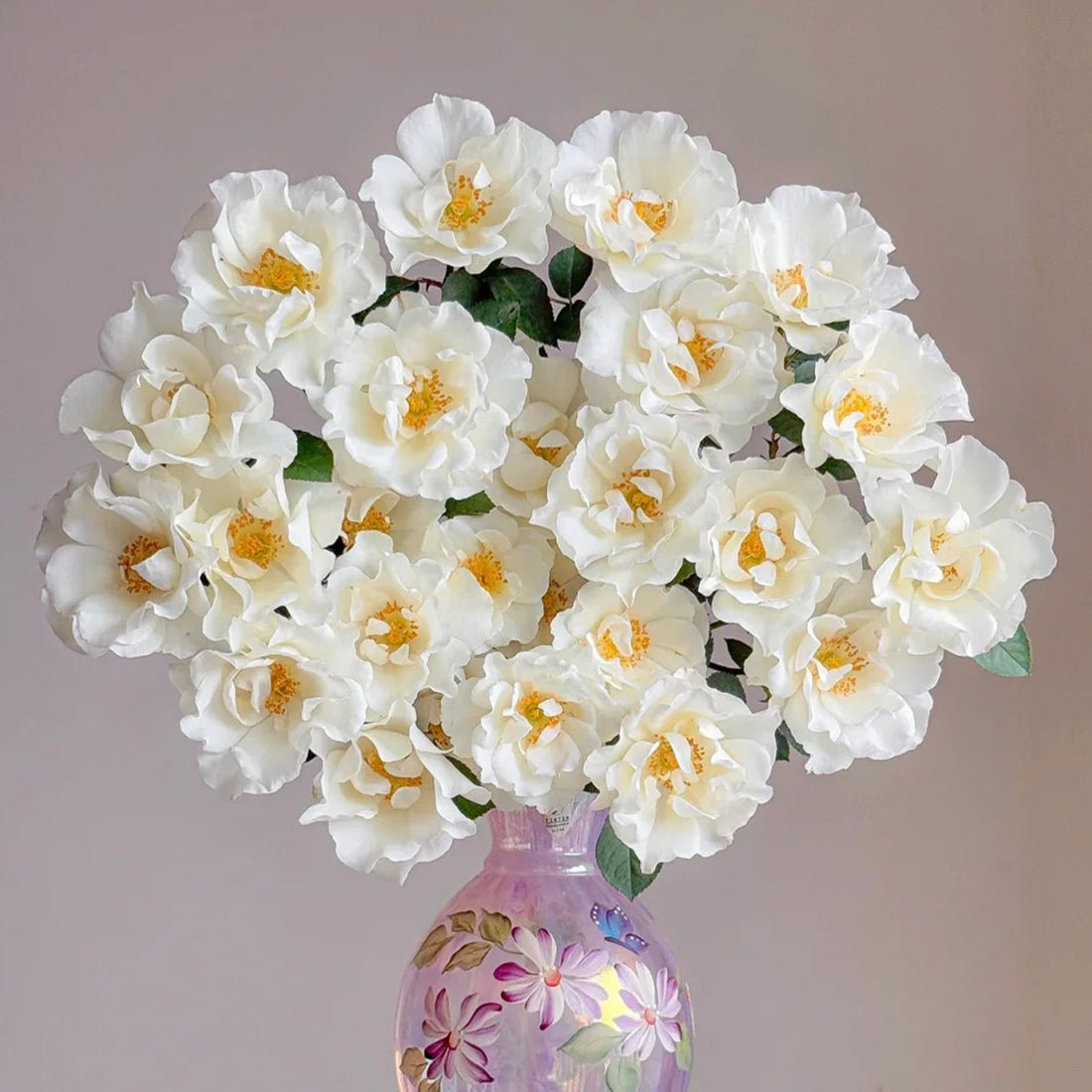 Wedding Dress Japanese Florist Shrub Rose