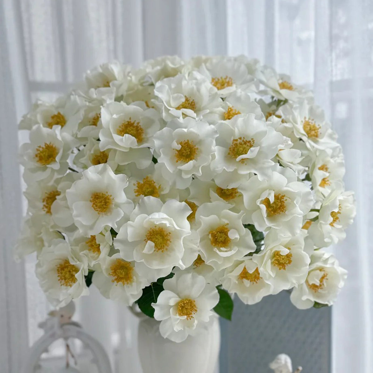 Wedding Dress Japanese Florist Shrub Rose