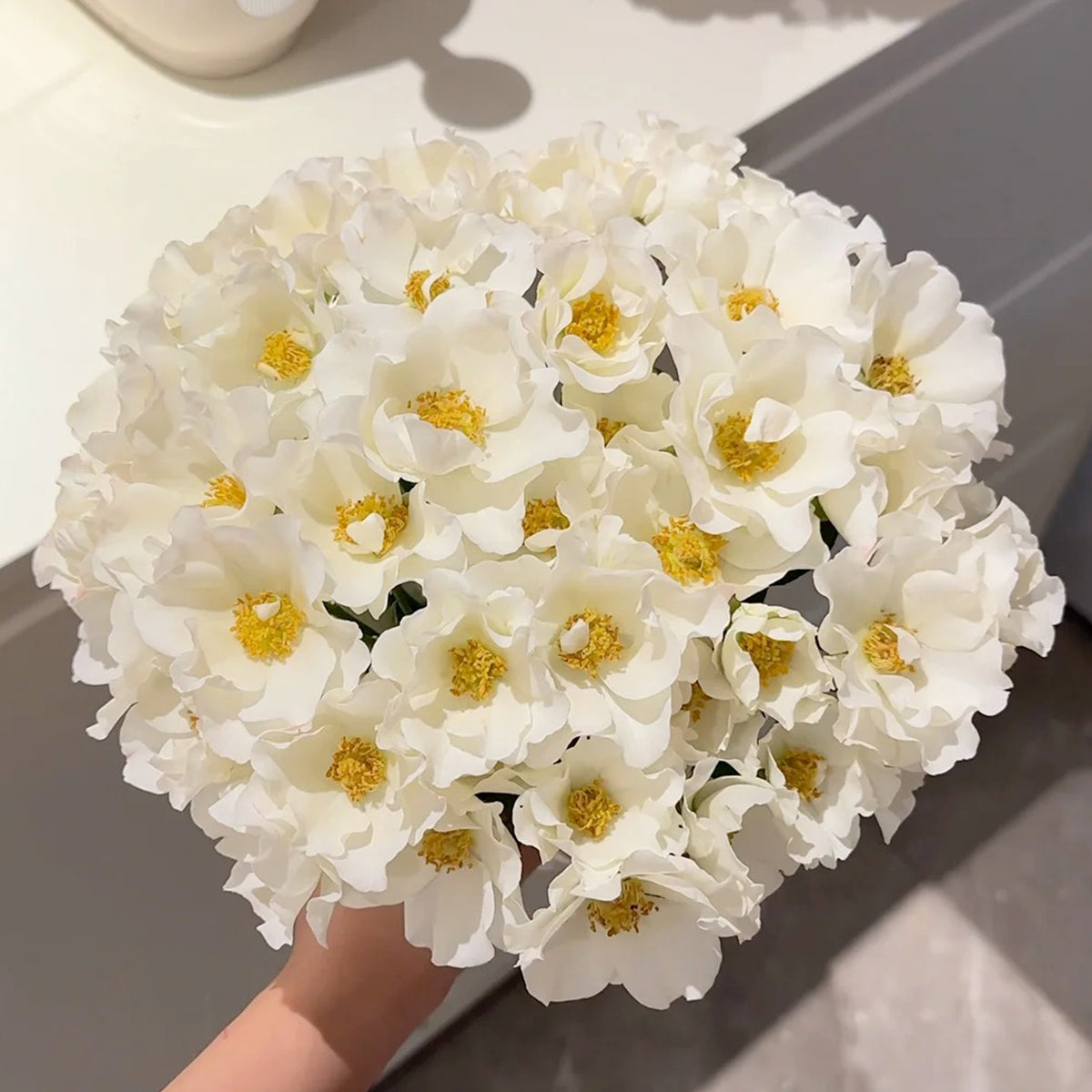 Wedding Dress Japanese Florist Shrub Rose