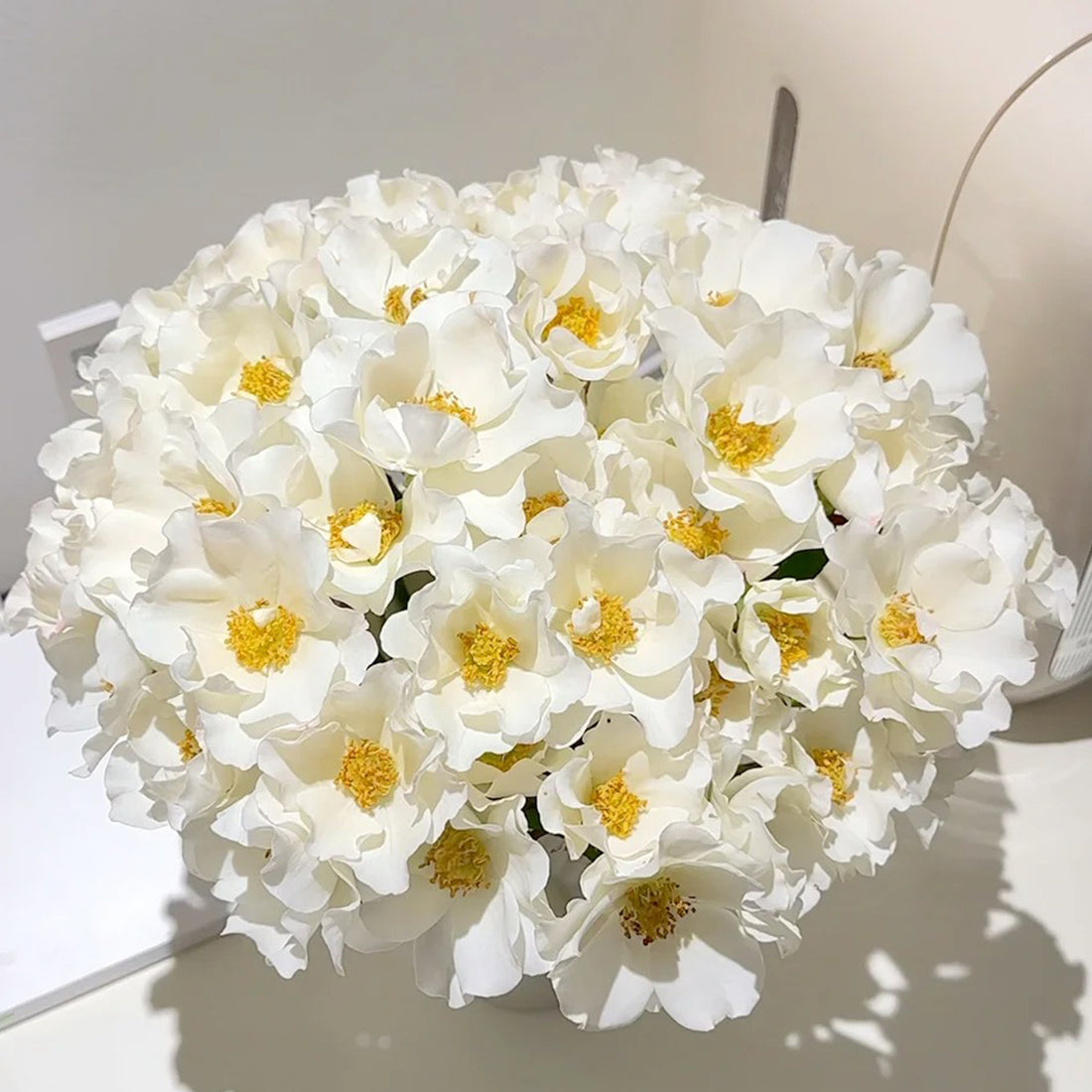 Wedding Dress Japanese Florist Shrub Rose