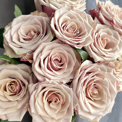 Wild Moss Dutch Florist Hybrid Tea Rose