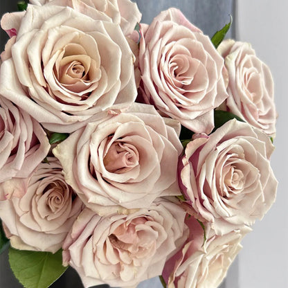 Wild Moss Dutch Florist Hybrid Tea Rose