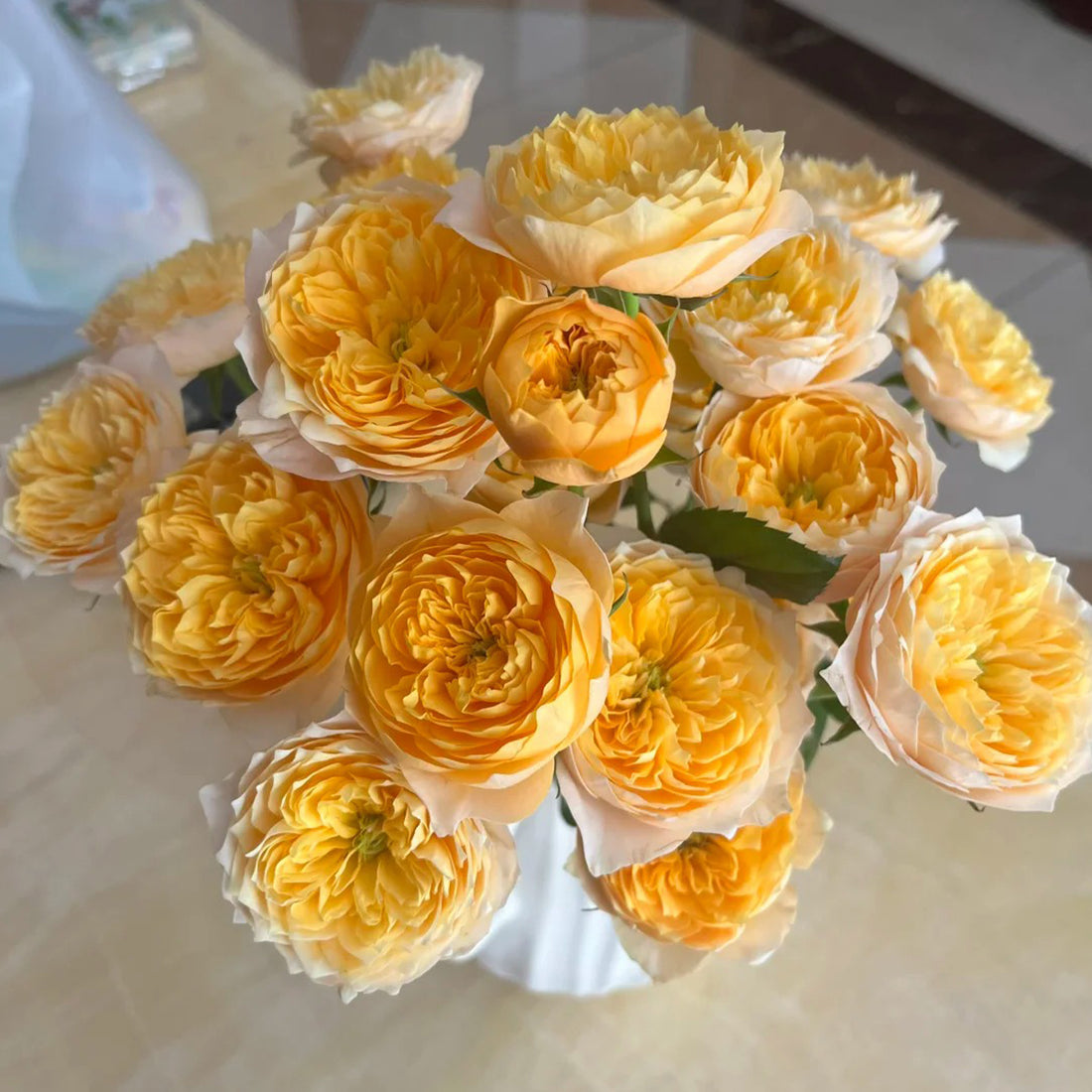 Yellow Butterfly Chinese Garden Climber Rose