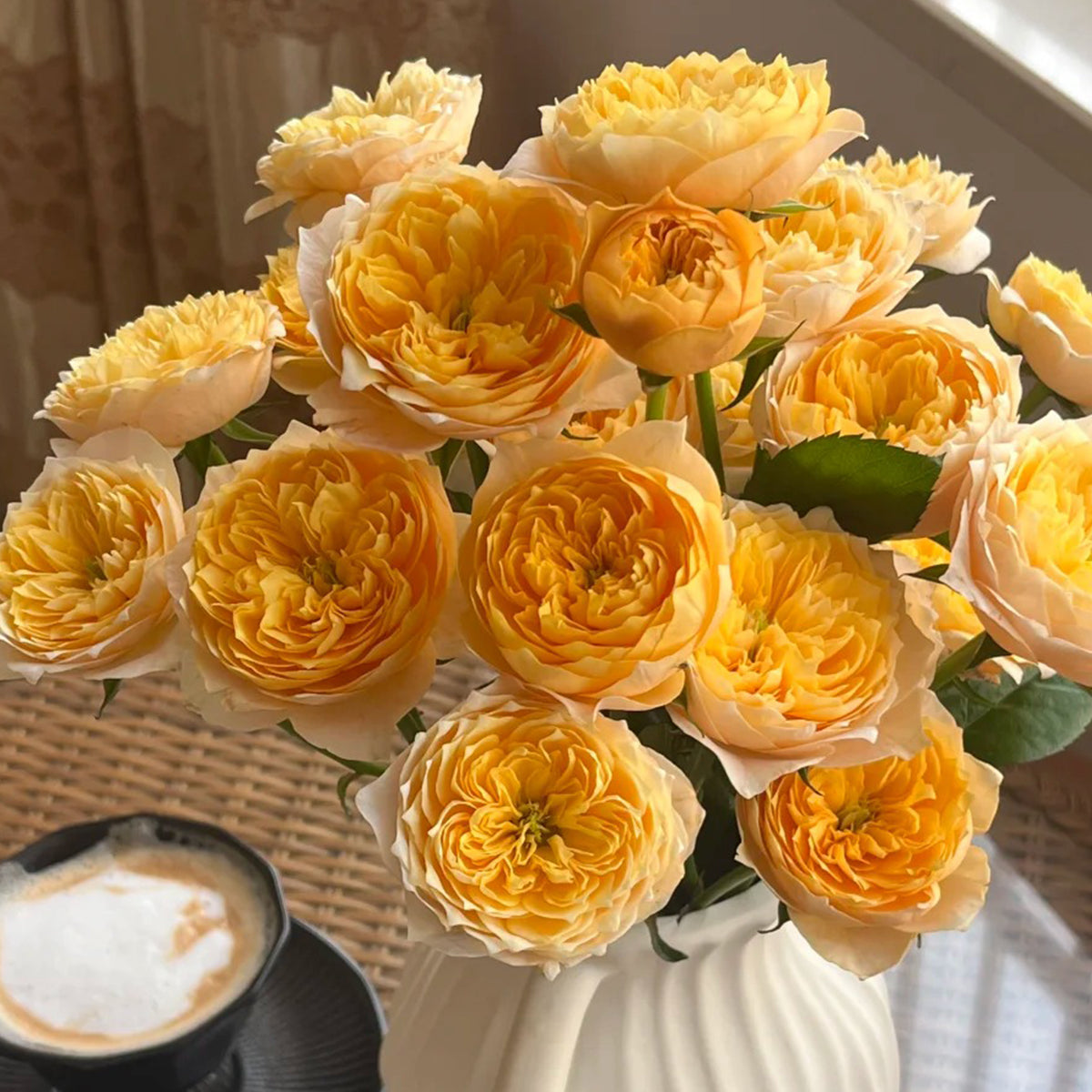 Yellow Butterfly Chinese Garden Climber Rose