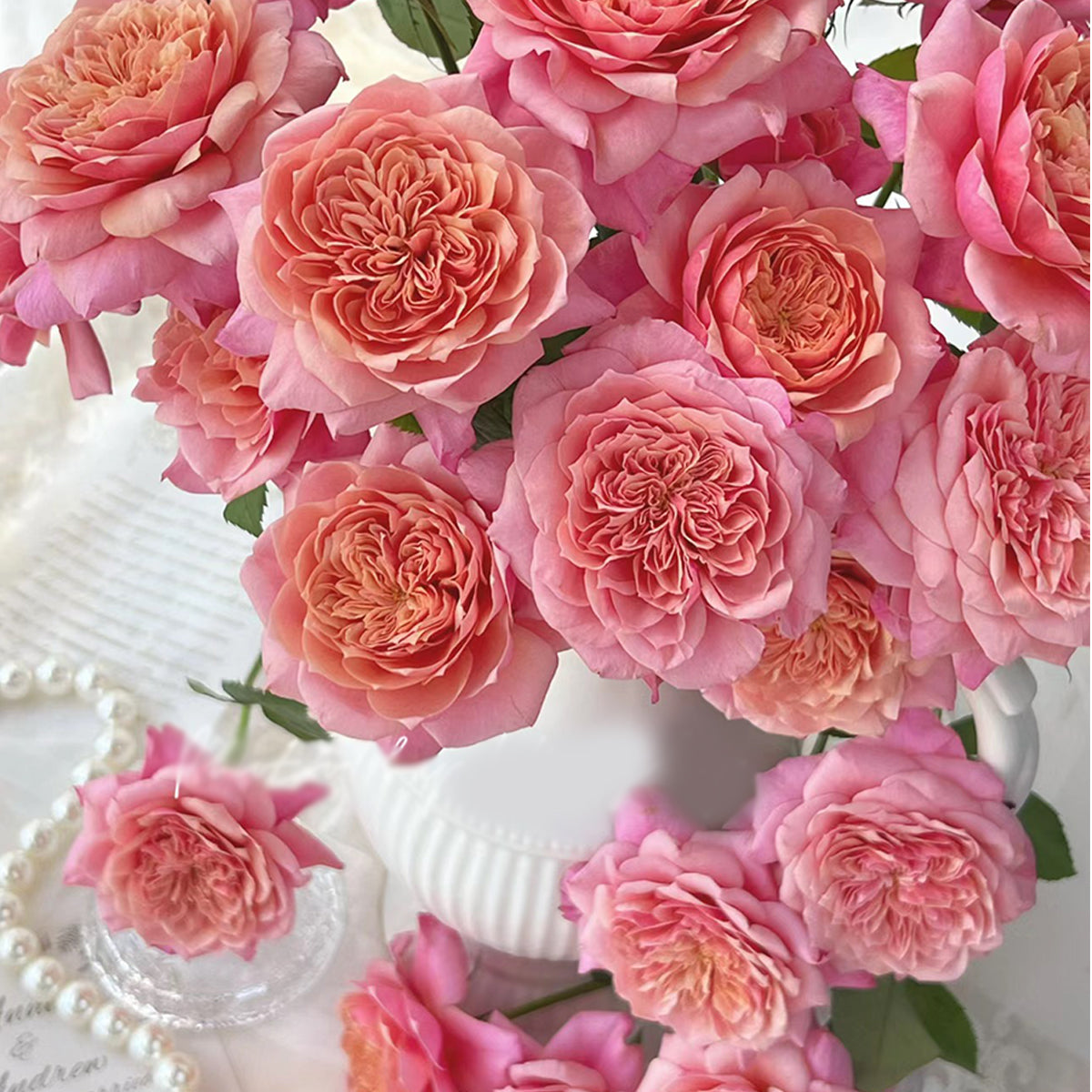Japan – Highgarden Roses