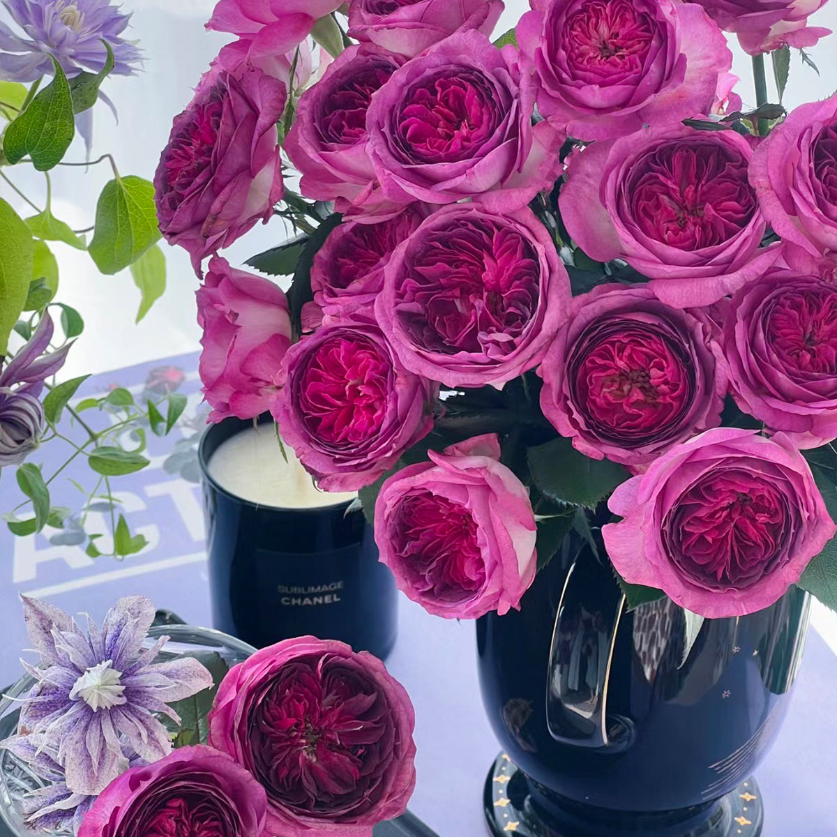 French Florist Shrub Rose Live Plant | Highgarden Roses | Thierry Marx ...